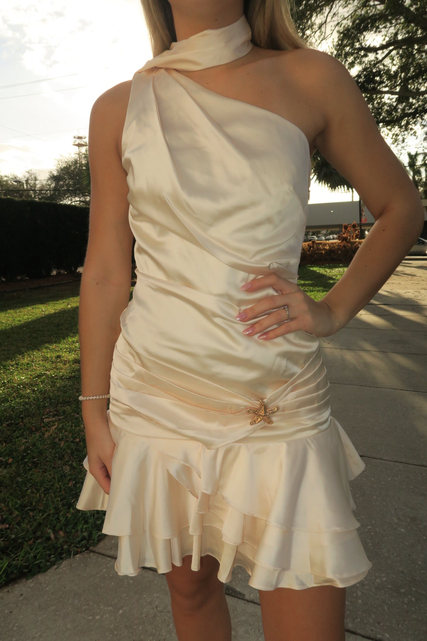 Scarlet Charm Mini Dress